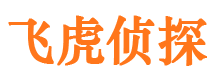 武川婚外情调查